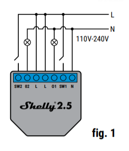 shelly25.png