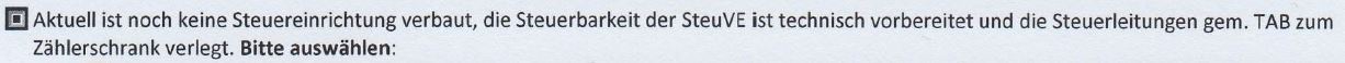 steuve.jpg