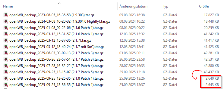 BackUp-Größe.png